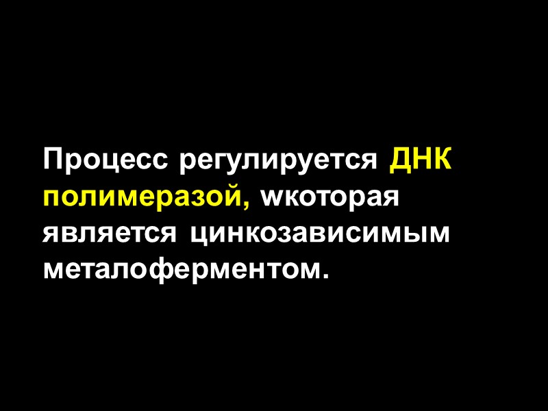 Процесс регулируется ДНК полимеразой, wкоторая является цинкозависимым металоферментом.